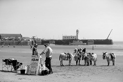 Yorkshire Coast Donkey Rides